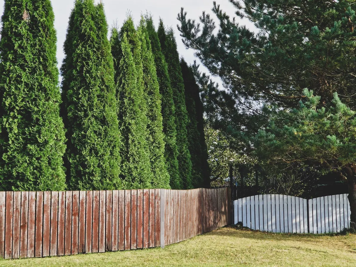 How to Create Privacy in an Overlooked Garden